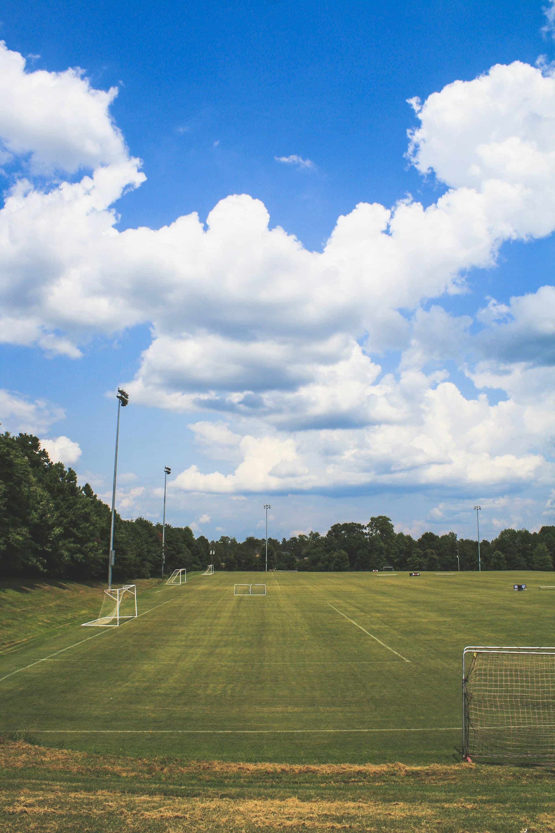 Green community sports field surrounded by trees under a blue sky